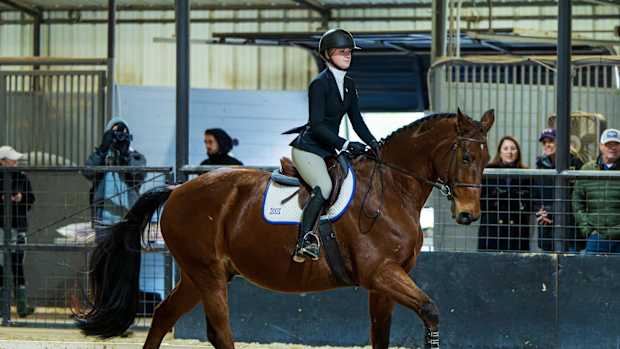 TCU Equestrian